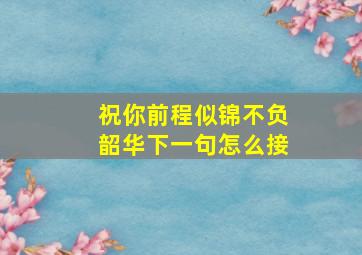 祝你前程似锦不负韶华下一句怎么接