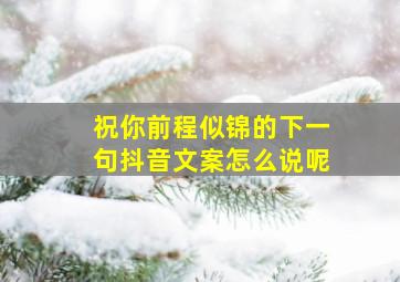 祝你前程似锦的下一句抖音文案怎么说呢