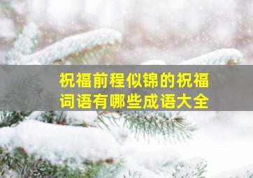 祝福前程似锦的祝福词语有哪些成语大全