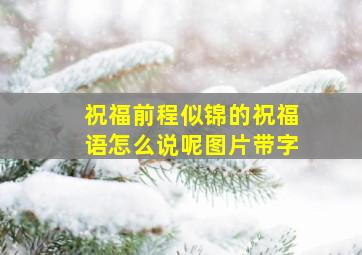 祝福前程似锦的祝福语怎么说呢图片带字