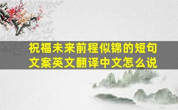 祝福未来前程似锦的短句文案英文翻译中文怎么说