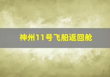 神州11号飞船返回舱