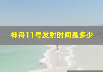 神舟11号发射时间是多少