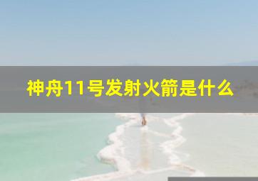 神舟11号发射火箭是什么