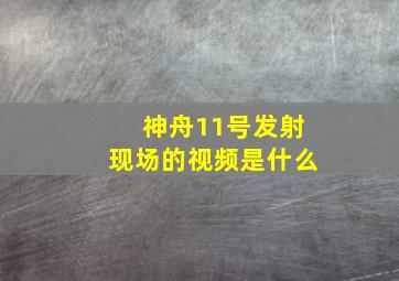 神舟11号发射现场的视频是什么