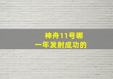 神舟11号哪一年发射成功的