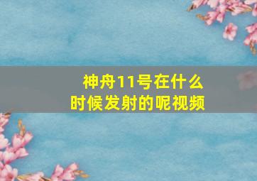 神舟11号在什么时候发射的呢视频