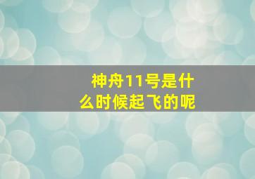 神舟11号是什么时候起飞的呢