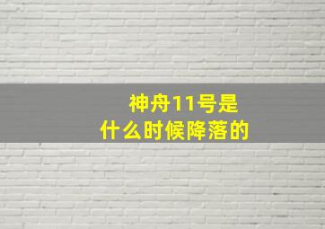 神舟11号是什么时候降落的