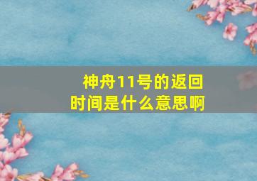 神舟11号的返回时间是什么意思啊