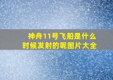 神舟11号飞船是什么时候发射的呢图片大全