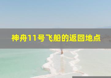 神舟11号飞船的返回地点