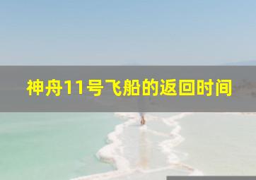 神舟11号飞船的返回时间