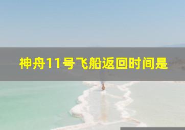 神舟11号飞船返回时间是