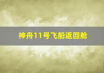 神舟11号飞船返回舱