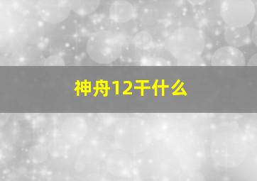 神舟12干什么