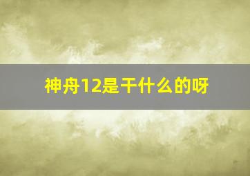 神舟12是干什么的呀