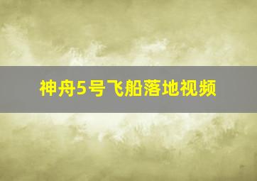 神舟5号飞船落地视频