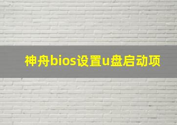 神舟bios设置u盘启动项