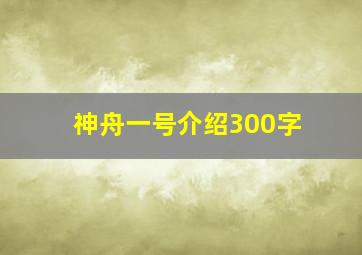 神舟一号介绍300字