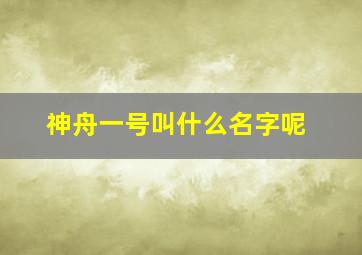 神舟一号叫什么名字呢