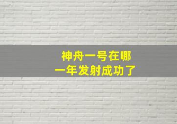 神舟一号在哪一年发射成功了