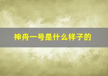 神舟一号是什么样子的