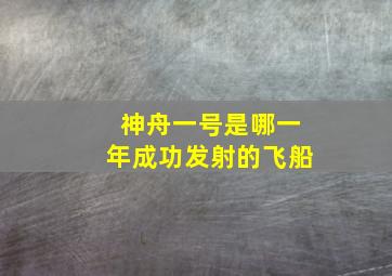 神舟一号是哪一年成功发射的飞船