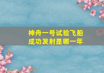 神舟一号试验飞船成功发射是哪一年