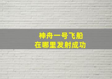 神舟一号飞船在哪里发射成功