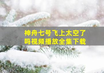 神舟七号飞上太空了吗视频播放全集下载