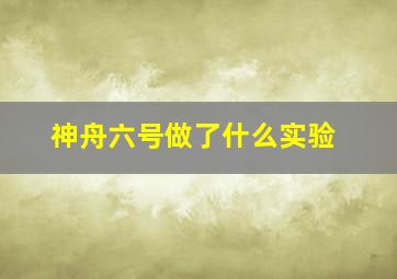 神舟六号做了什么实验