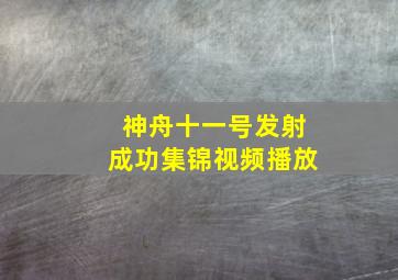 神舟十一号发射成功集锦视频播放