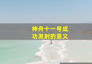 神舟十一号成功发射的意义