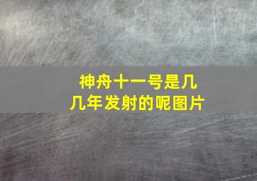 神舟十一号是几几年发射的呢图片