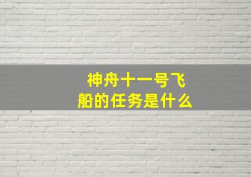 神舟十一号飞船的任务是什么