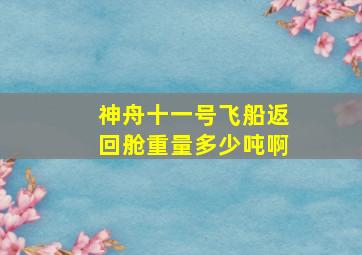 神舟十一号飞船返回舱重量多少吨啊