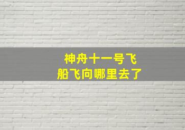 神舟十一号飞船飞向哪里去了