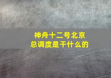 神舟十二号北京总调度是干什么的