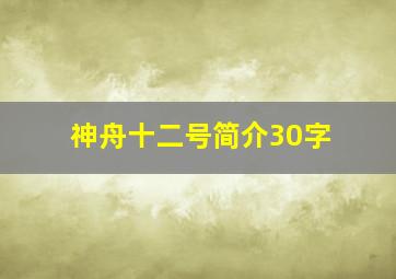 神舟十二号简介30字