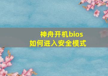 神舟开机bios如何进入安全模式