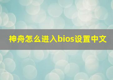 神舟怎么进入bios设置中文