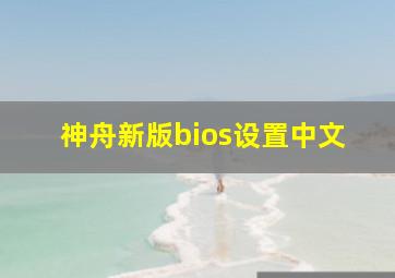 神舟新版bios设置中文