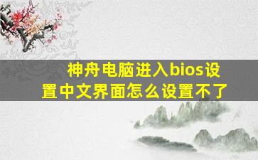 神舟电脑进入bios设置中文界面怎么设置不了