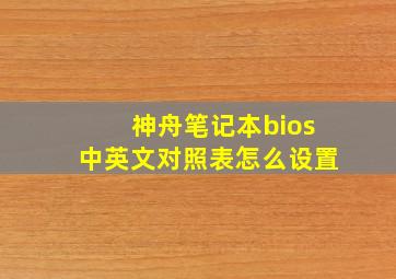 神舟笔记本bios中英文对照表怎么设置