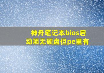 神舟笔记本bios启动项无硬盘但pe里有