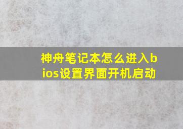 神舟笔记本怎么进入bios设置界面开机启动