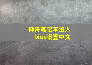 神舟笔记本进入bios设置中文