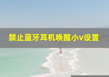 禁止蓝牙耳机唤醒小v设置