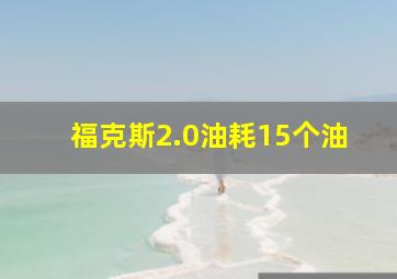 福克斯2.0油耗15个油